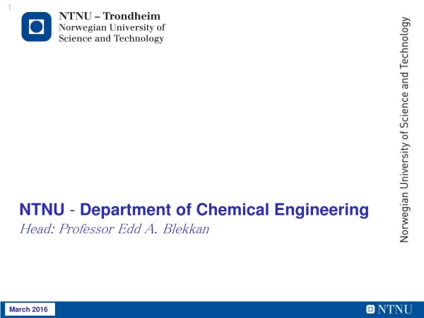 NTNU - Department of Chemical Engineering H ead: Professor Edd A. Blekkan