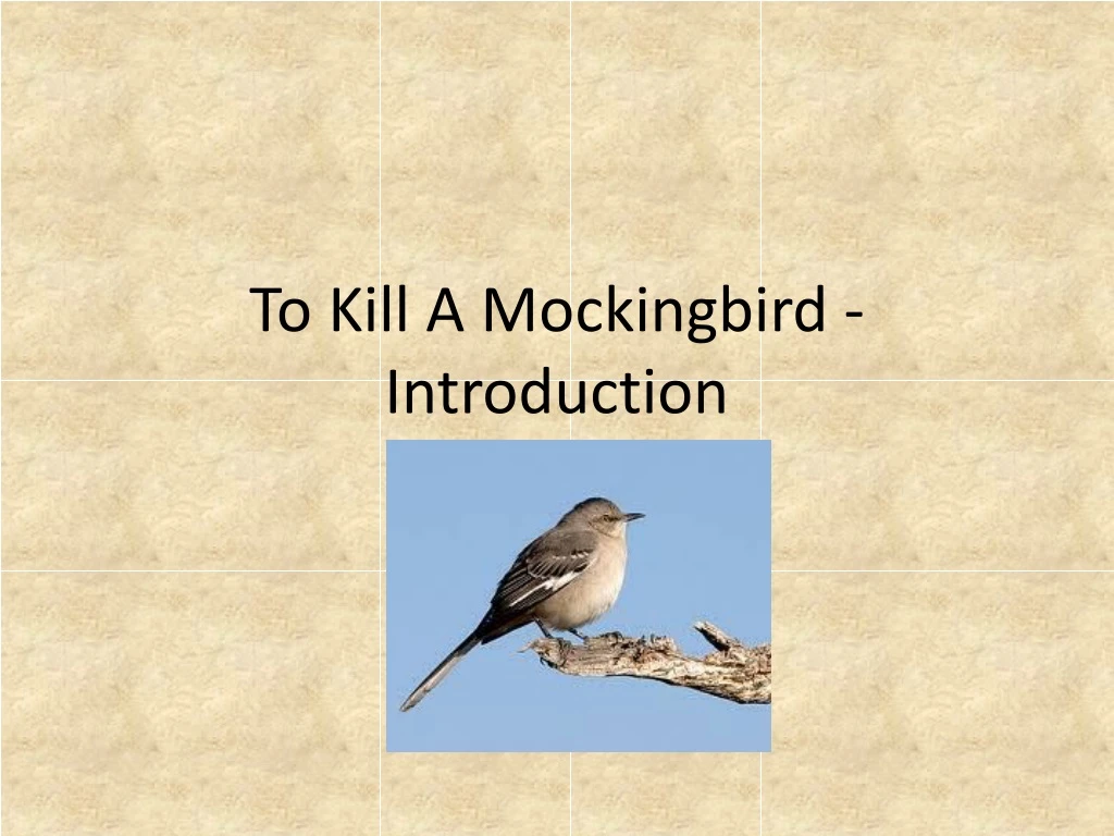 to kill a mockingbird introduction