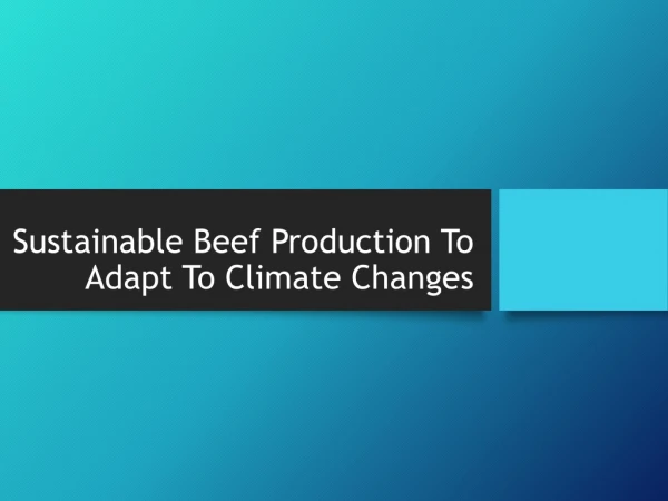 Sustainable Beef Production To Adapt To Climate Changes