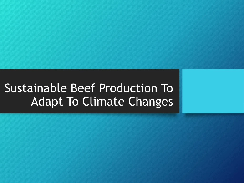 sustainable beef production to adapt to climate changes