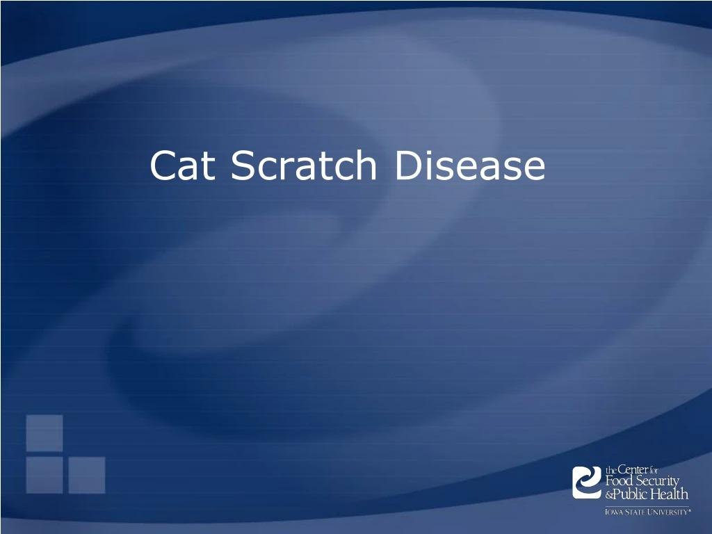 cat scratch disease