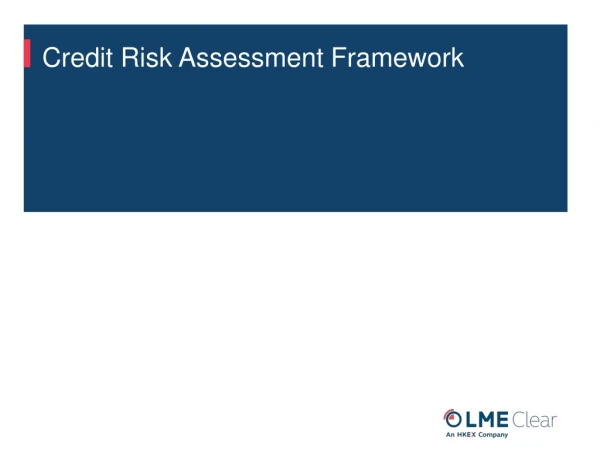 Credit Risk Assessment Framework