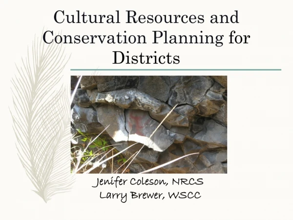 Cultural Resources and Conservation Planning for Districts