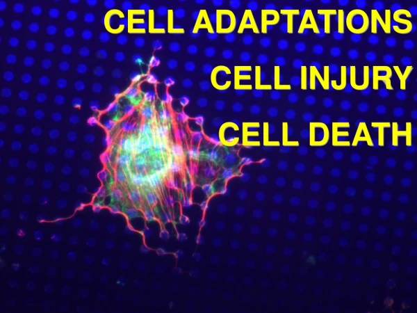 CELL ADAPTATIONS CELL INJURY CELL DEATH
