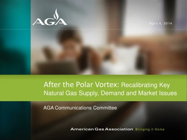 After the Polar Vortex: Recalibrating Key Natural Gas Supply, Demand and Market Issues