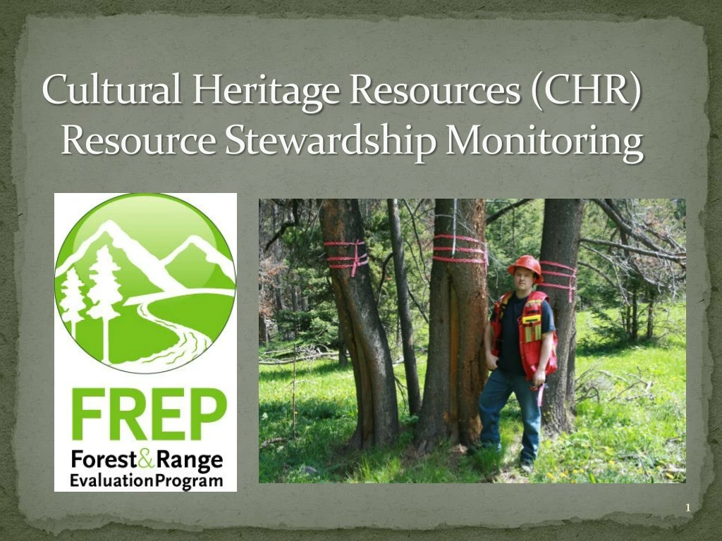 cultural heritage resources chr resource stewardship monitoring