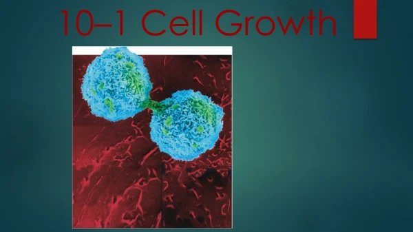 10–1 Cell Growth