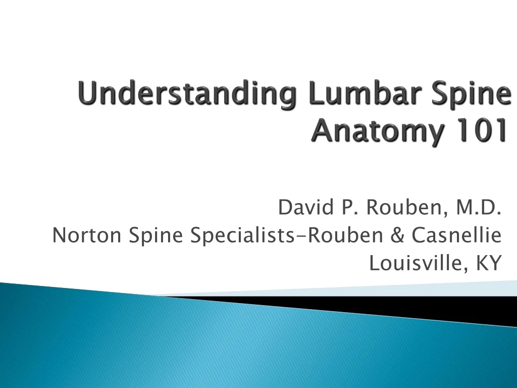 understanding lumbar spine anatomy 101