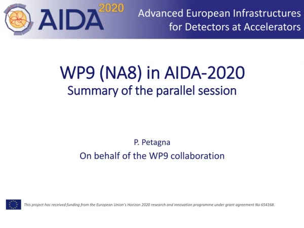 WP9 (NA8) in AIDA-2020 Summary of the parallel session