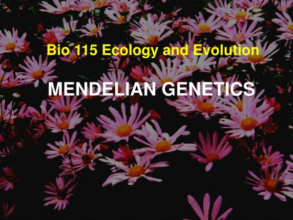 Bio 115 Ecology and Evolution