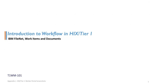 Introduction to Workflow in HIX/Tier 1