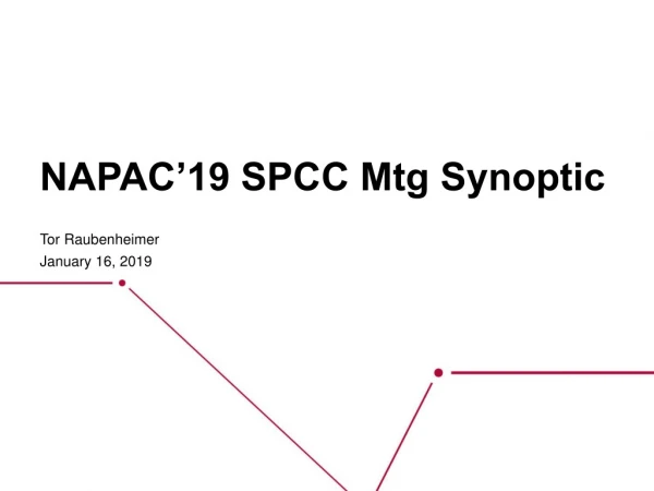 NAPAC’19 SPCC Mtg Synoptic