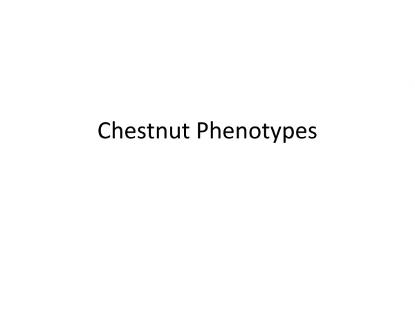Chestnut Phenotypes