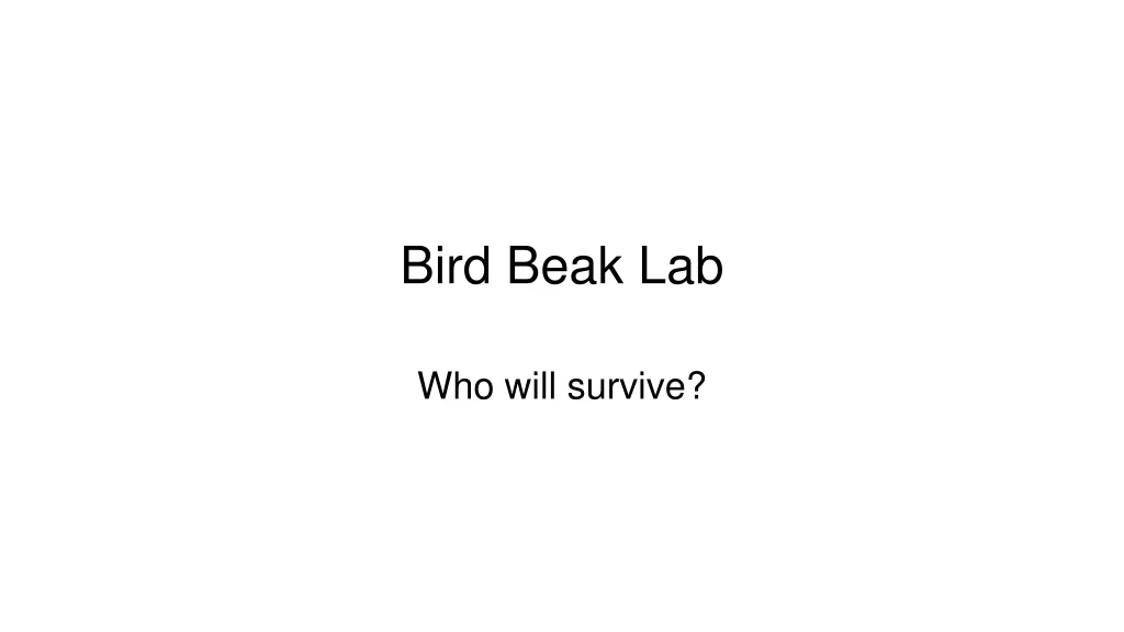 bird beak lab