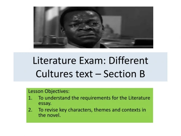 Literature Exam: Different Cultures text – Section B