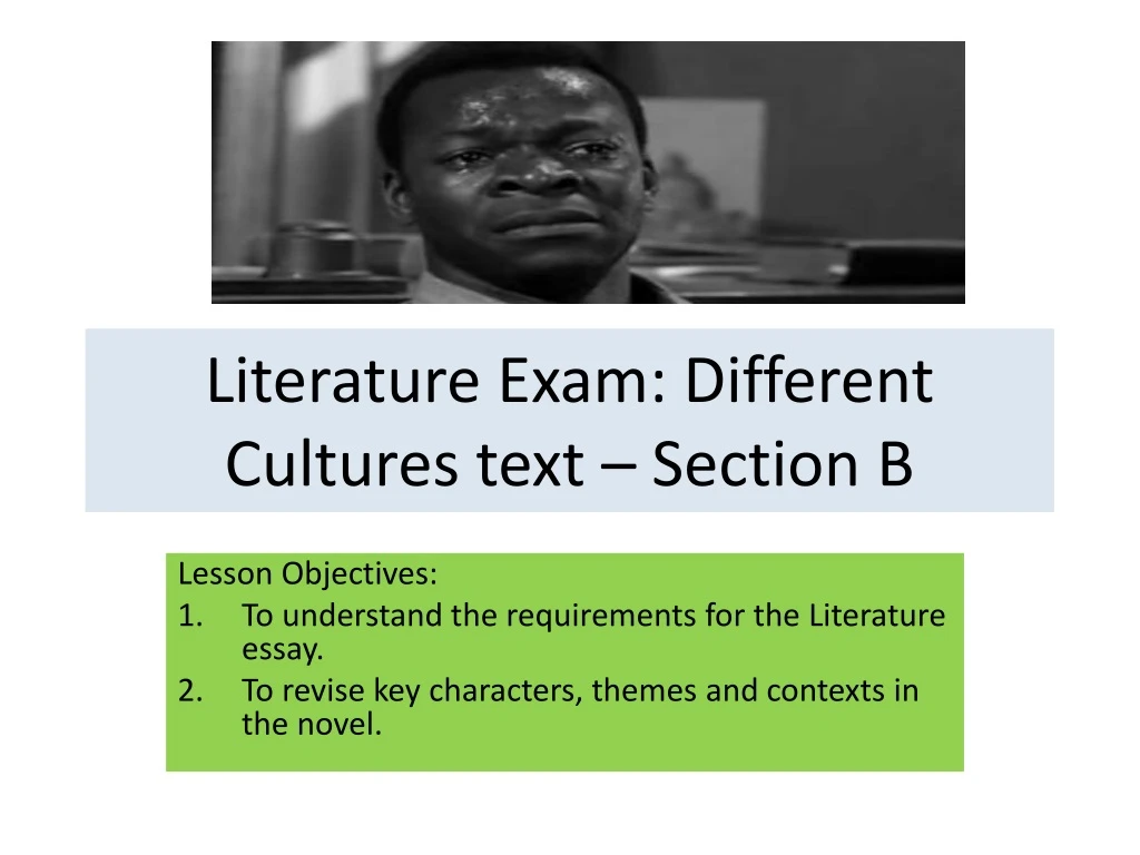 literature exam different cultures text section b