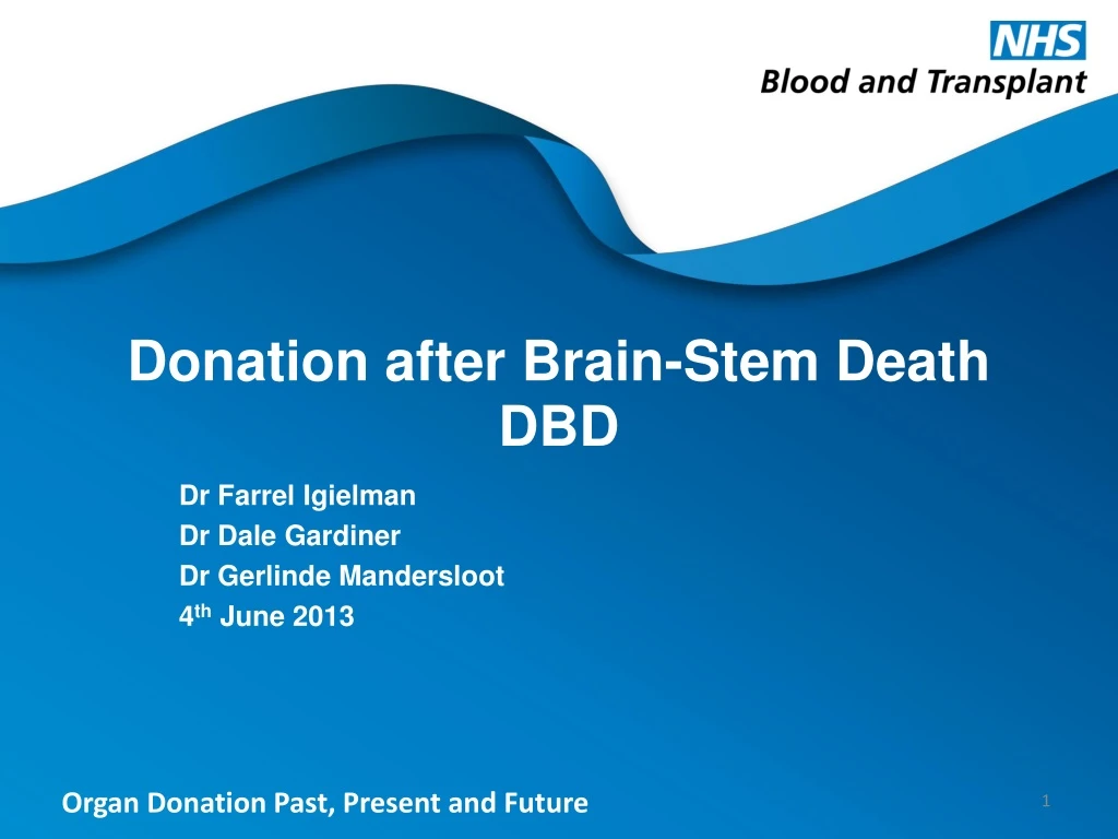 donation after brain stem death dbd