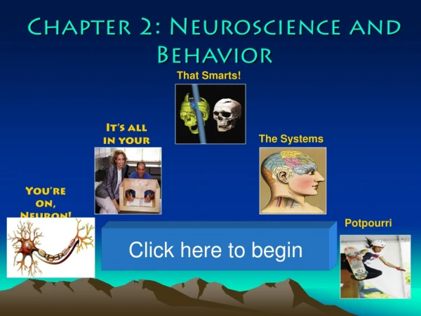 Chapter 2: Neuroscience and Behavior