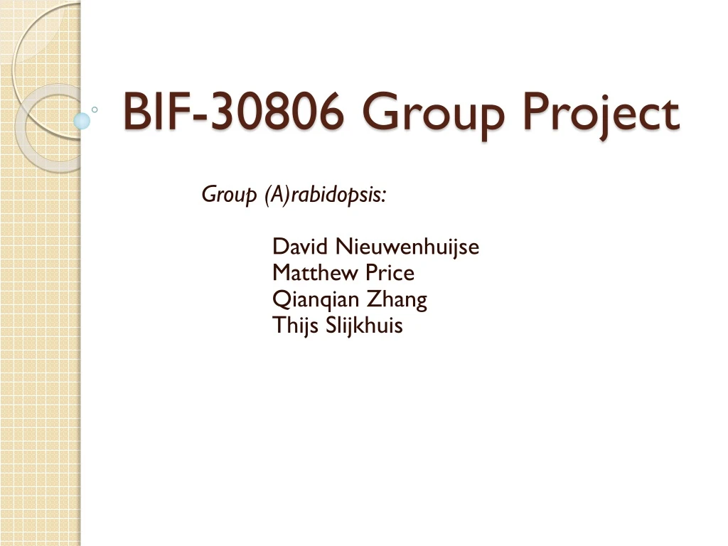 bif 30806 group project