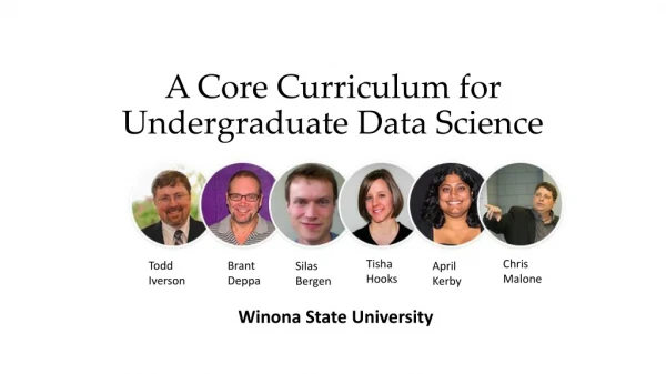 A Core Curriculum for Undergraduate Data Science