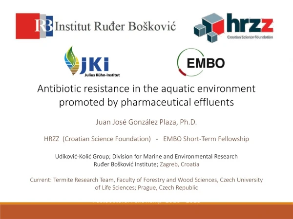 Antibiotic resistance in the aquatic environment promoted by pharmaceutical effluents