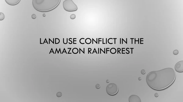 Land use conflict in the amazon rainforest