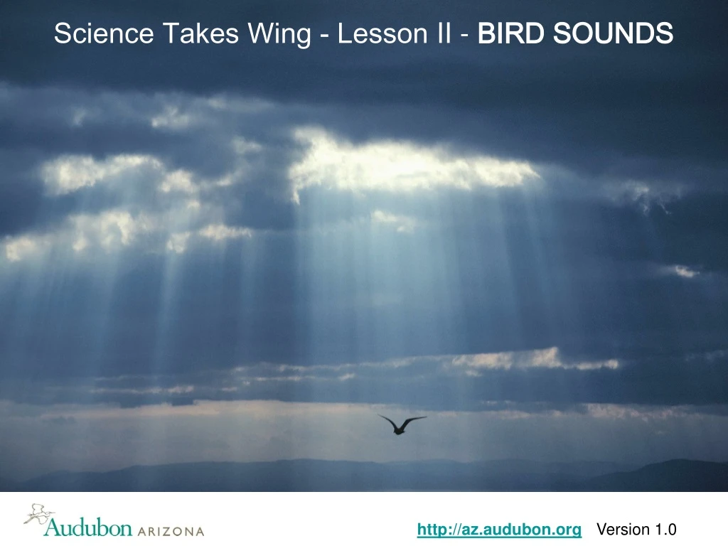 science takes wing lesson ii bird sounds