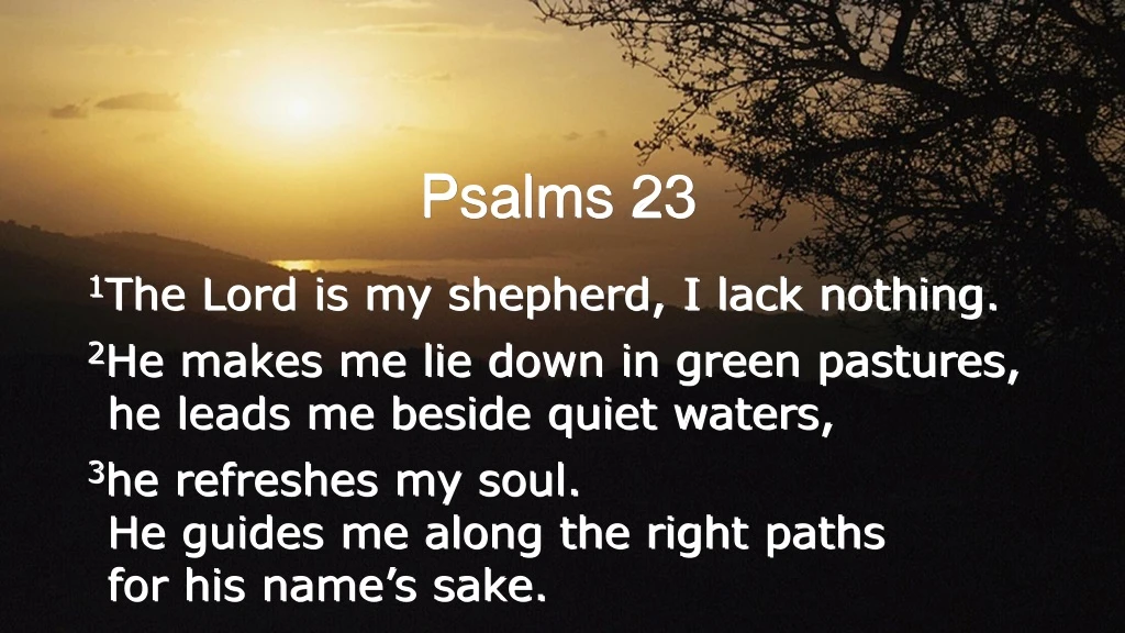 psalms 23