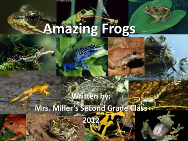 Amazing Frogs