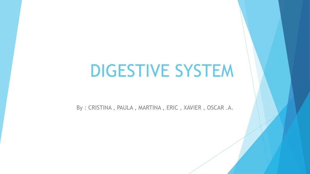 digestive system