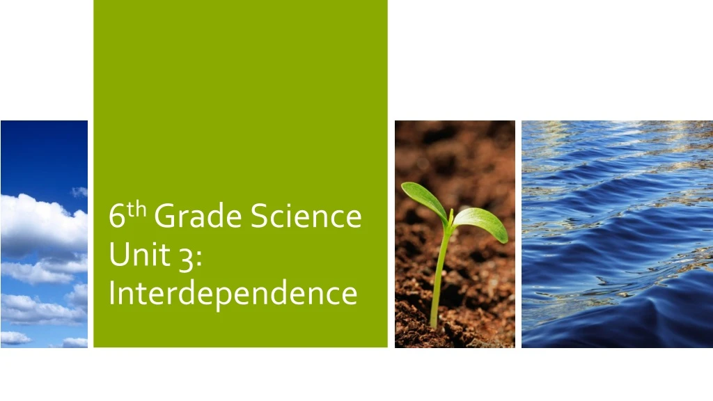 6 th grade science unit 3 interdependence