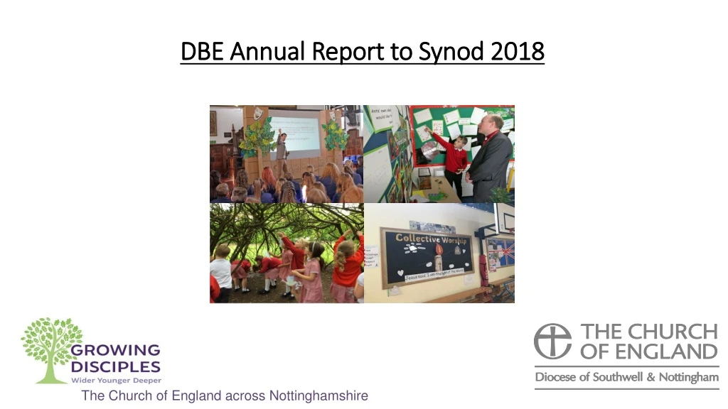dbe annual report to synod 2018