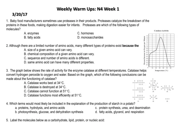 Weekly Warm Ups: N4 Week 1