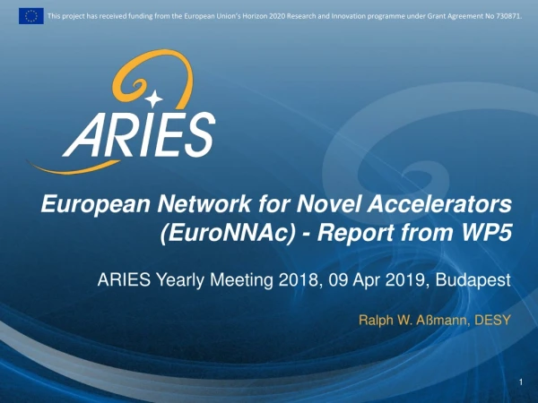 European Network for Novel Accelerators ( EuroNNAc ) - Report from WP5