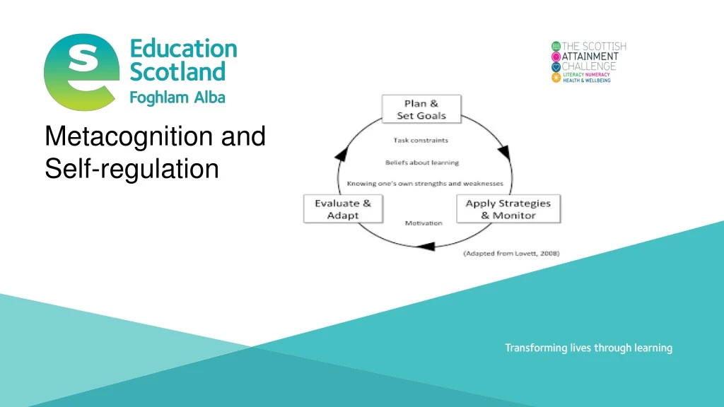 metacognition and self regulation