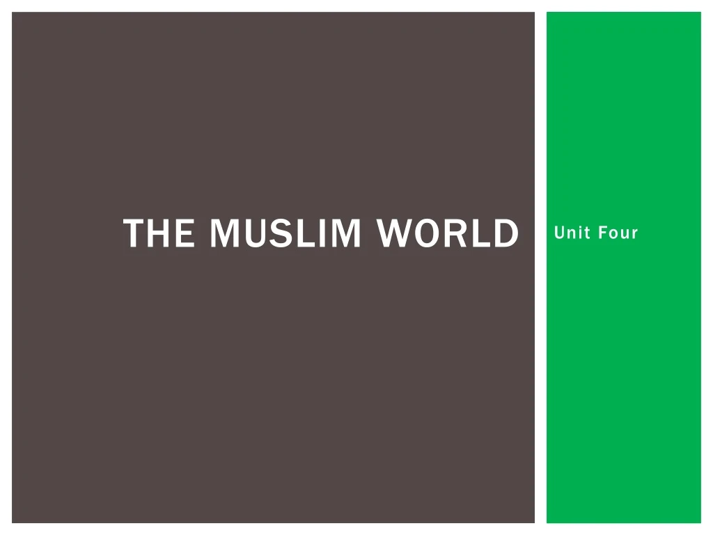 the muslim world