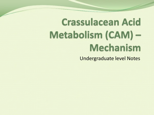 Crassulacean Acid Metabolism (CAM) – Mechanism