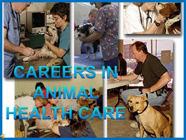CAREERS IN ANIMAL HEALTH CARE