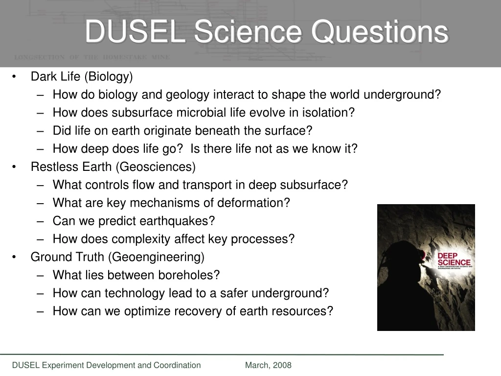 dusel science questions