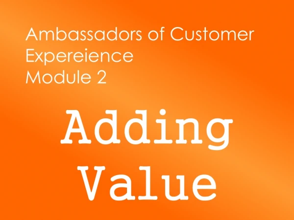 Ambassadors of Customer Expereience Module 2