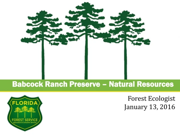 Babcock Ranch Preserve – Natural Resources