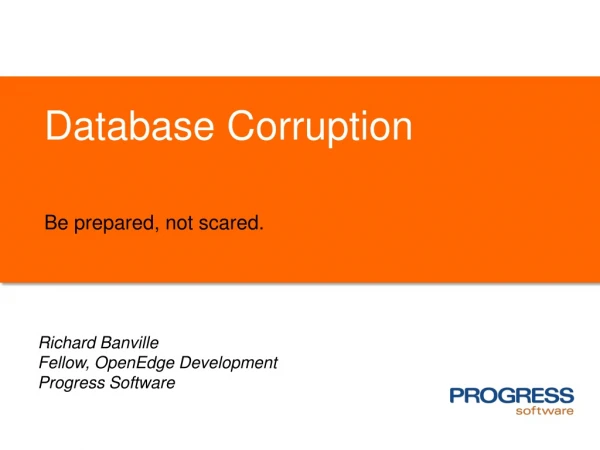 Database Corruption