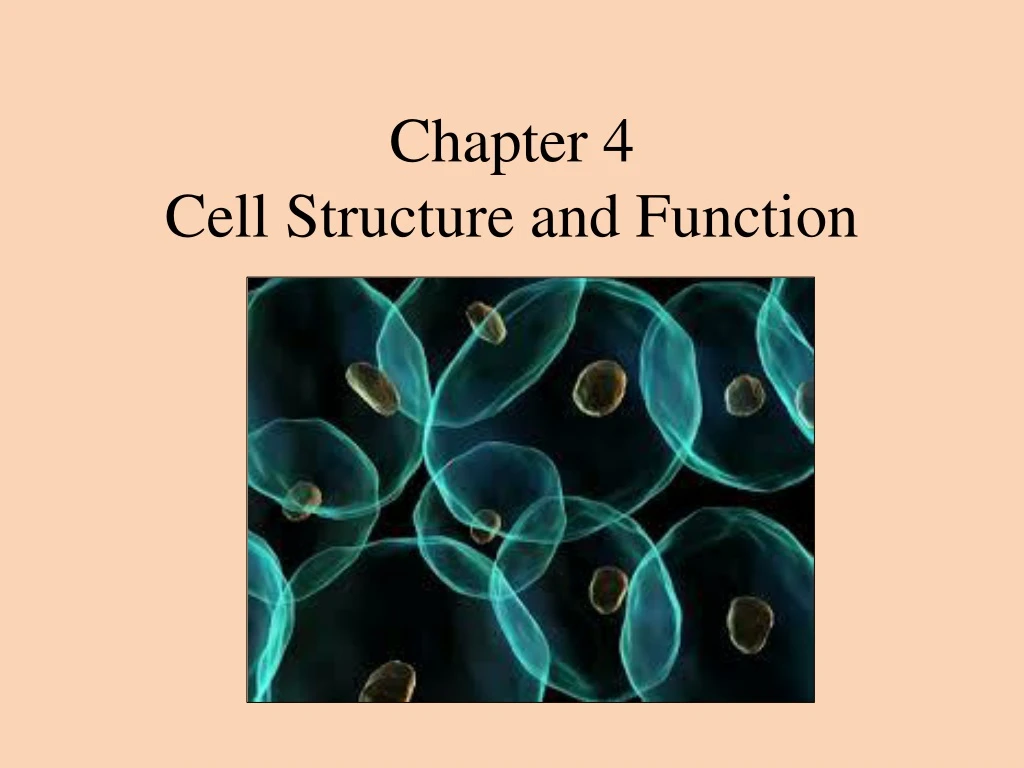 chapter 4 cell structure and function