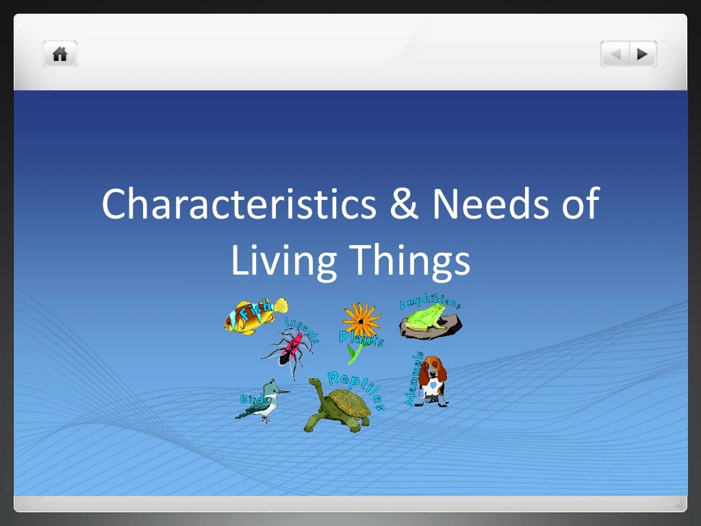 characteristics needs of living things