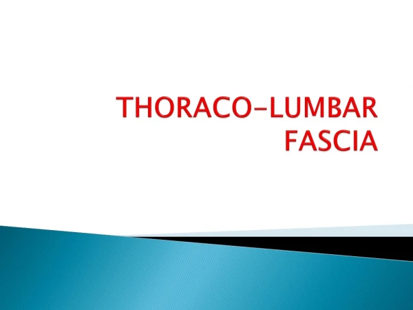 THORACO-LUMBAR FASCIA