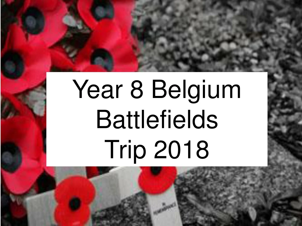 year 8 belgium battlefields trip 2018