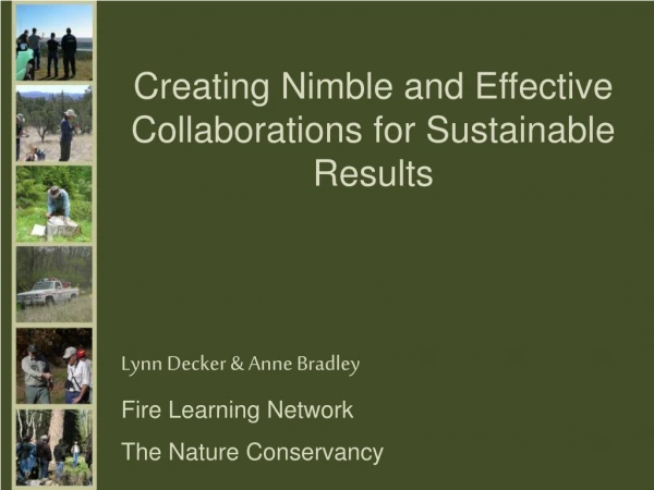Creating Nimble and Effective Collaborations for Sustainable Results