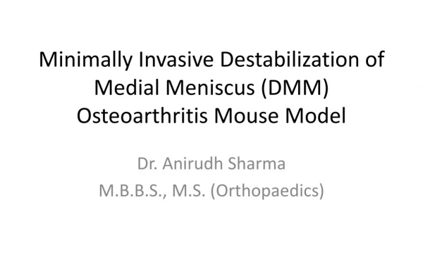 Minimally Invasive Destabilization of M edial Meniscus (DMM ) Osteoarthritis Mouse Model