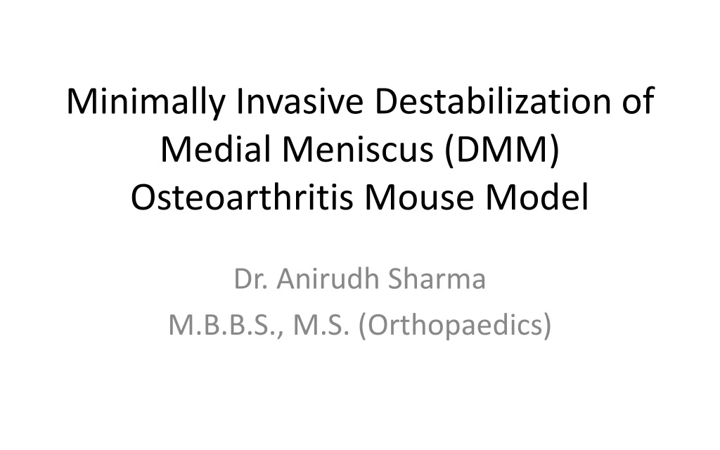 minimally invasive destabilization of m edial meniscus dmm osteoarthritis mouse model