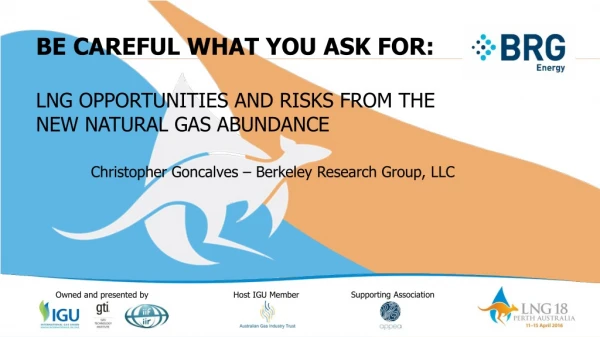 BE CAREFUL WHAT YOU ASK FOR: LNG OPPORTUNITIES AND RISKS FROM THE NEW NATURAL GAS ABUNDANCE